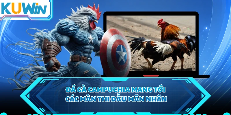 Đá gà Campuchia mang tới các màn thi đấu mãn nhãn