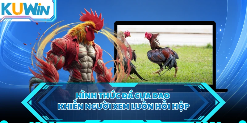 Hình thức đá cựa dao khiến người xem luôn hồi hộp