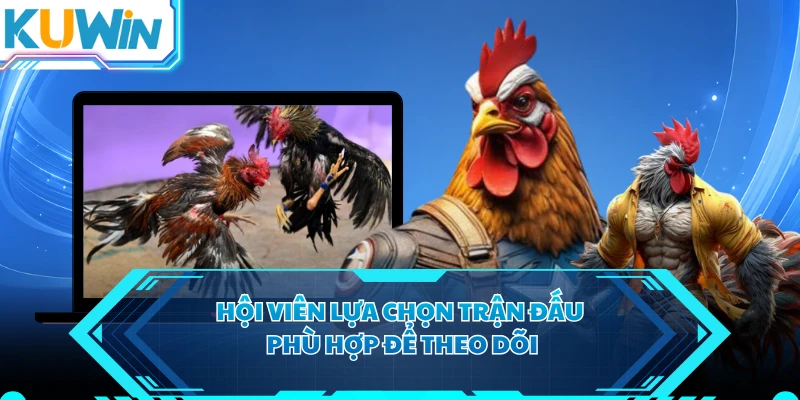 Hội viên lựa chọn trận đấu phù hợp để theo dõi
