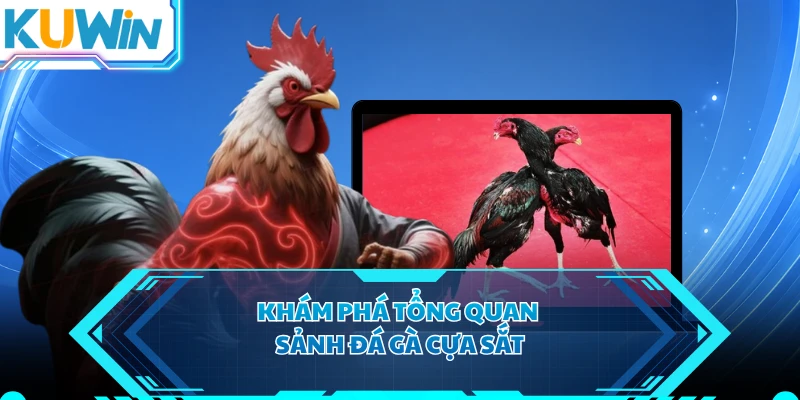 Khám phá tổng quan sảnh đá gà cựa sắt