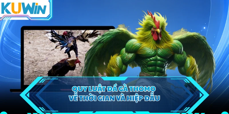 Quy luật đá gà Thomo về thời gian và hiệp đấu