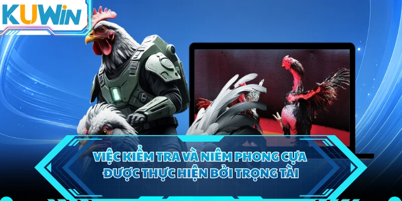 Việc kiểm tra và niêm phong cựa được thực hiện bởi trọng tài